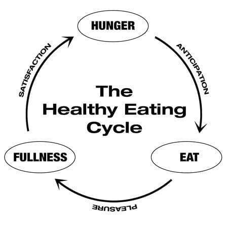 healthy eating cycle