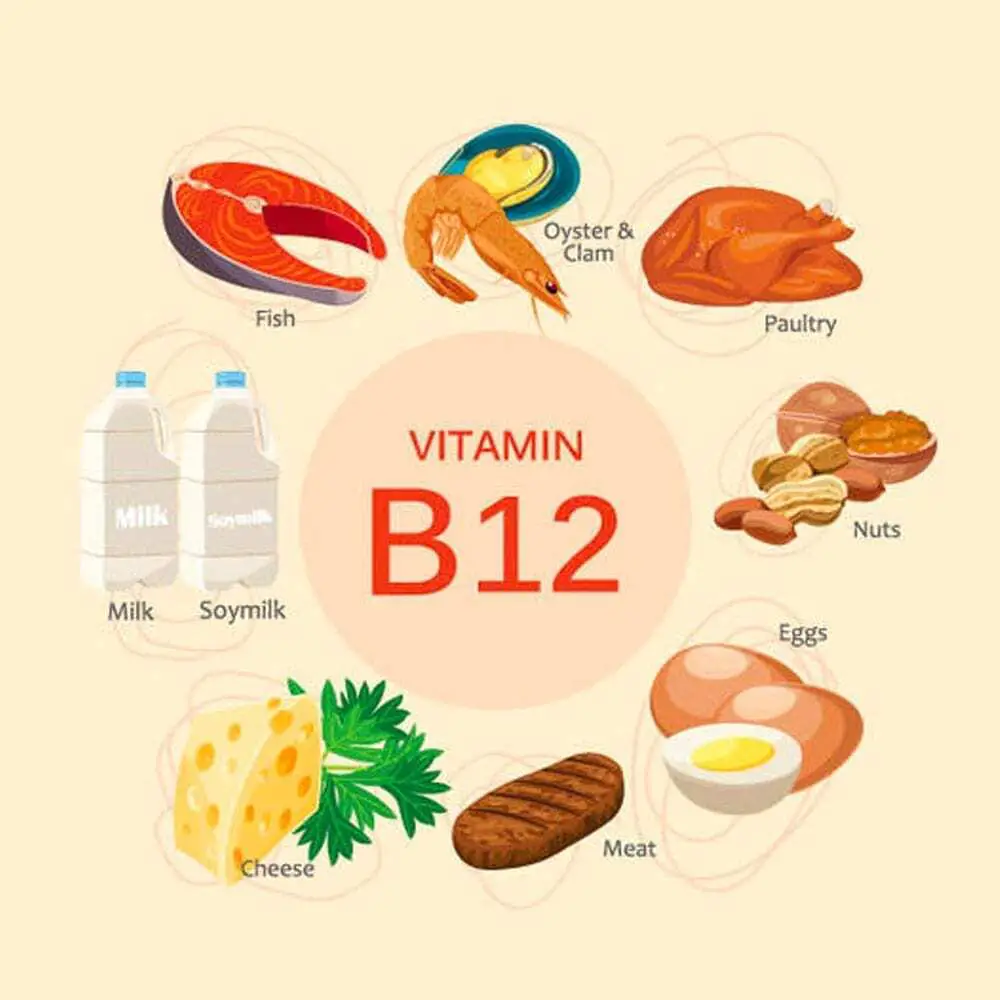 vitamin b12 causing meat cravings