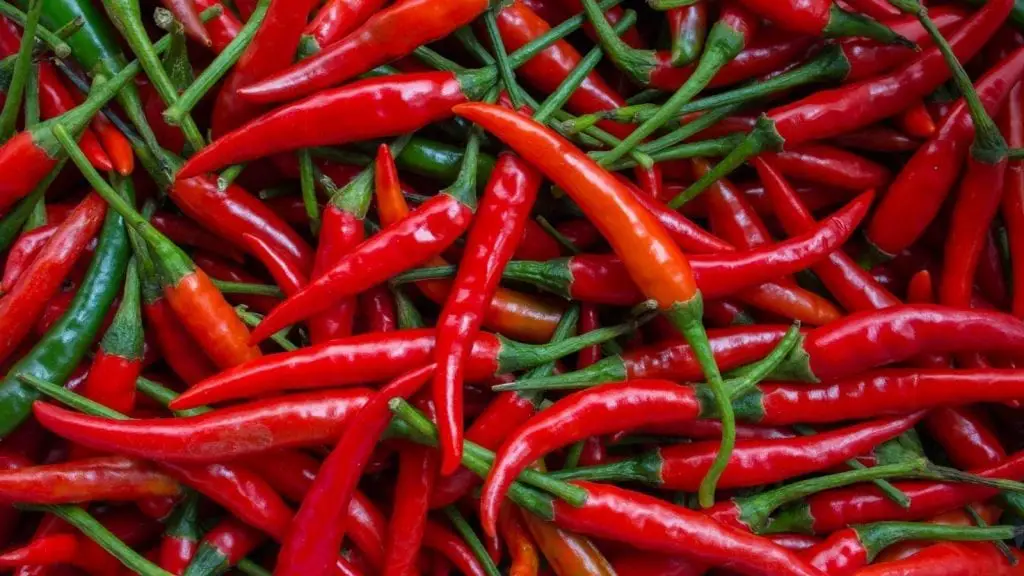 hot spicy peppers